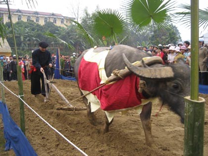 Праздник Лонгтонг народности Таи в провинции Лангшон - ảnh 3